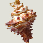 Collier FLAMMEUS Coquillage avec Grenats