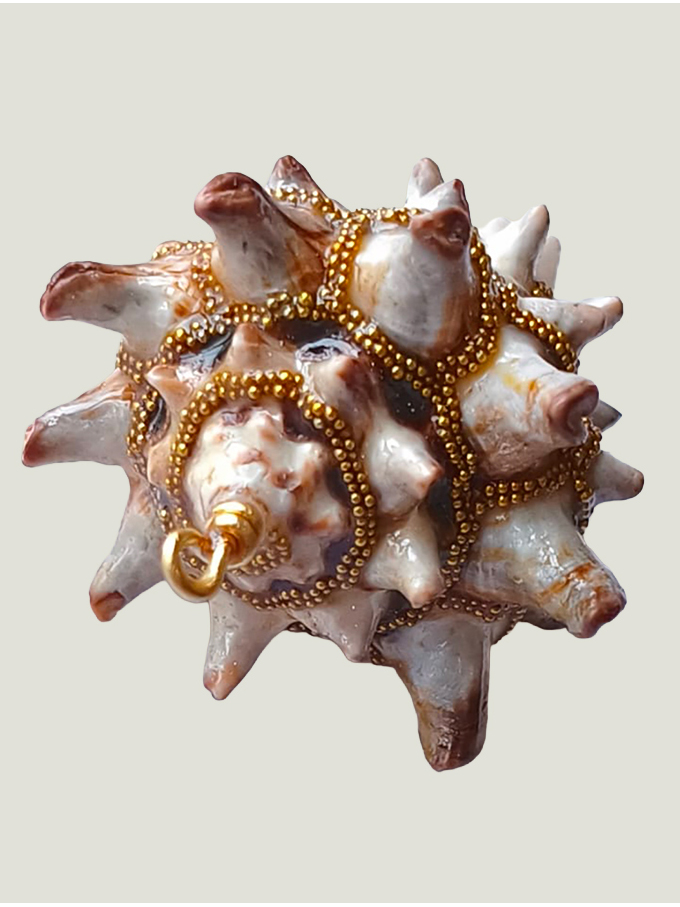 dessus recto pendentif Coquillage beige clair avec pointes orné de perles dorées avec une bélière dorée